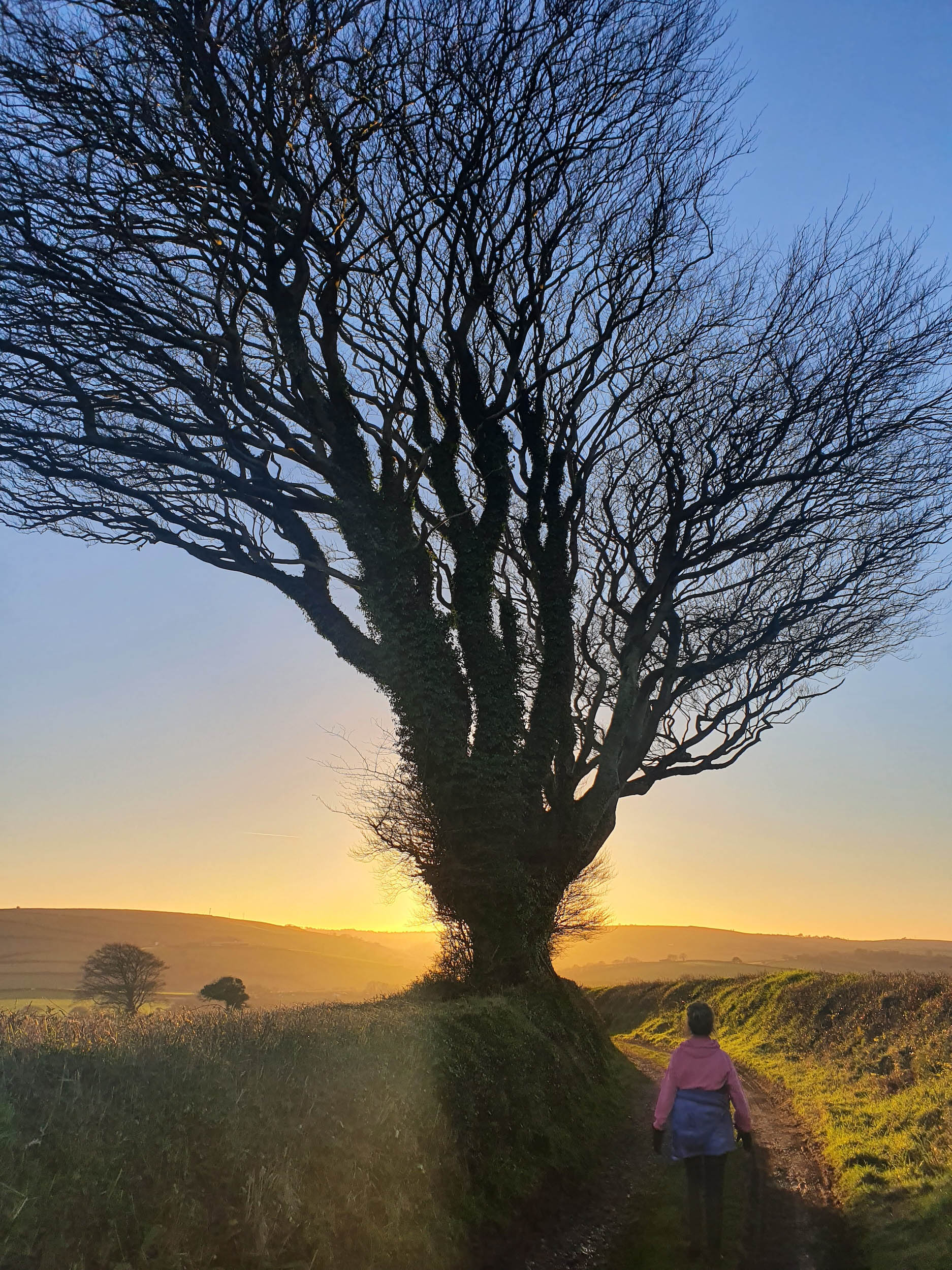 Spiritual direction is a practice that offers the opportunity to journey with a spiritual companion